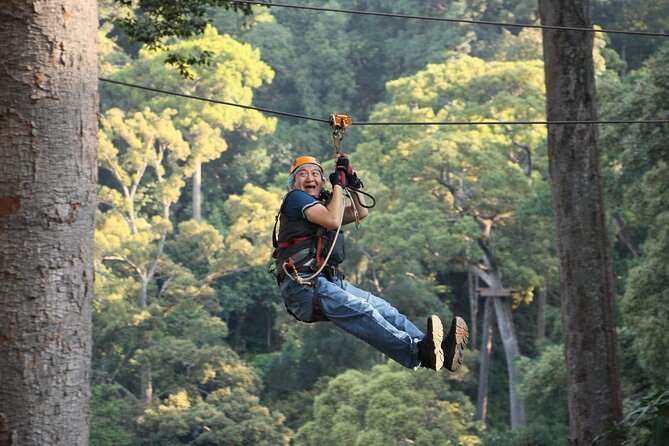 Chiang Mai Zip Line Experience - Families and Kids: What Works Well (and What You Should Plan For)