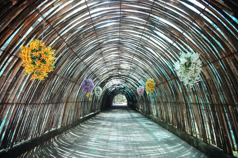 Chiang Mai: Zipline Adventure at Skyline Jungle Luge - Key things I’d put on your radar