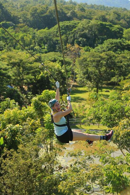 Chiang Mai: Zipline & High Rope Park with Lunch & Transfer - The Tiny Train, Flower Field, and Sheep Farm Stop
