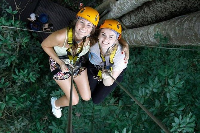 Chiang Mai Zipline White Water Rafting and Elephant Sanctuary - A Full-Day Mashup: Zipline Views, Rapids Time, and Elephant Watching