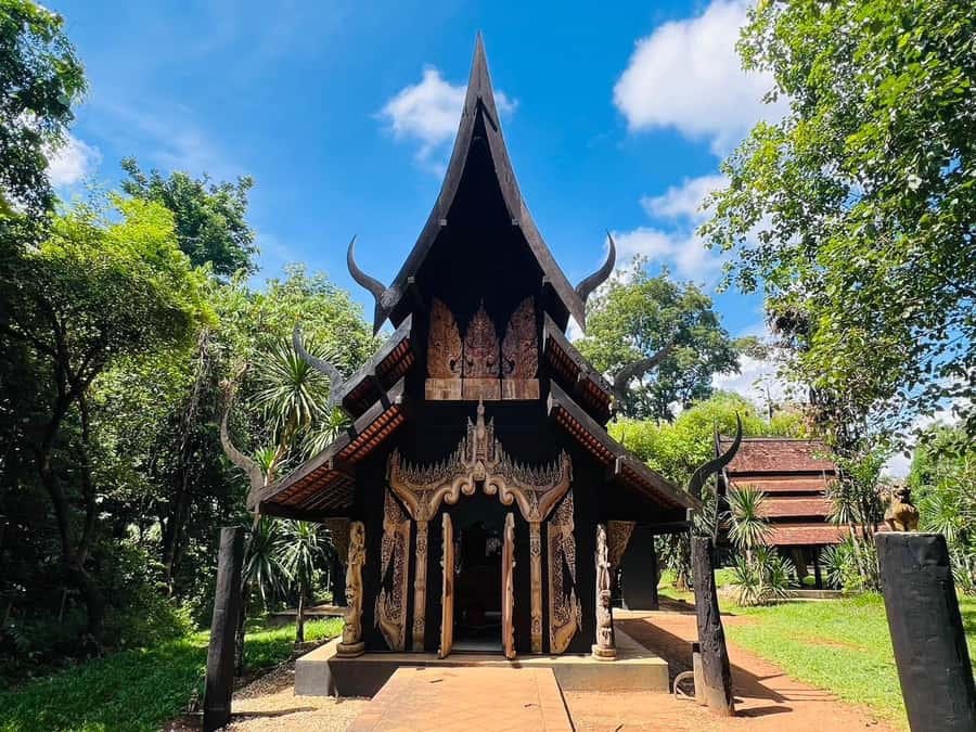 Chiang Rai:Private Transfer to Chiang Mai with Temples Visit - Lunch and water: included so you can stay focused