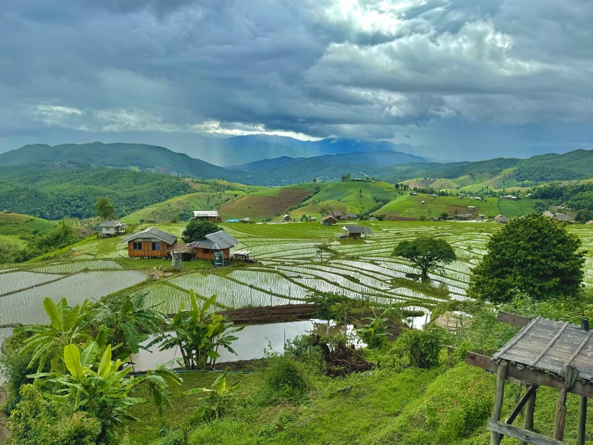 Chiangmai : Doi Inthanon unseen spot , Rice terrace & temple - Karen life at Ban Mae Klang Laung: coffee and weaving