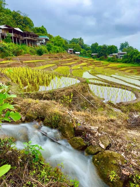 Chiangmai : Doi Inthanon unseen spot , Rice terrace & temple - Lunch, entrances, and what you should budget beyond $70