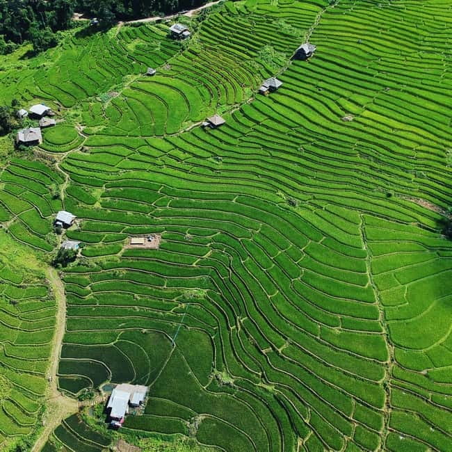 Chiangmai : Doi Inthanon unseen spot , Rice terrace & temple - Getting picked up: your day starts at 8:00 AM