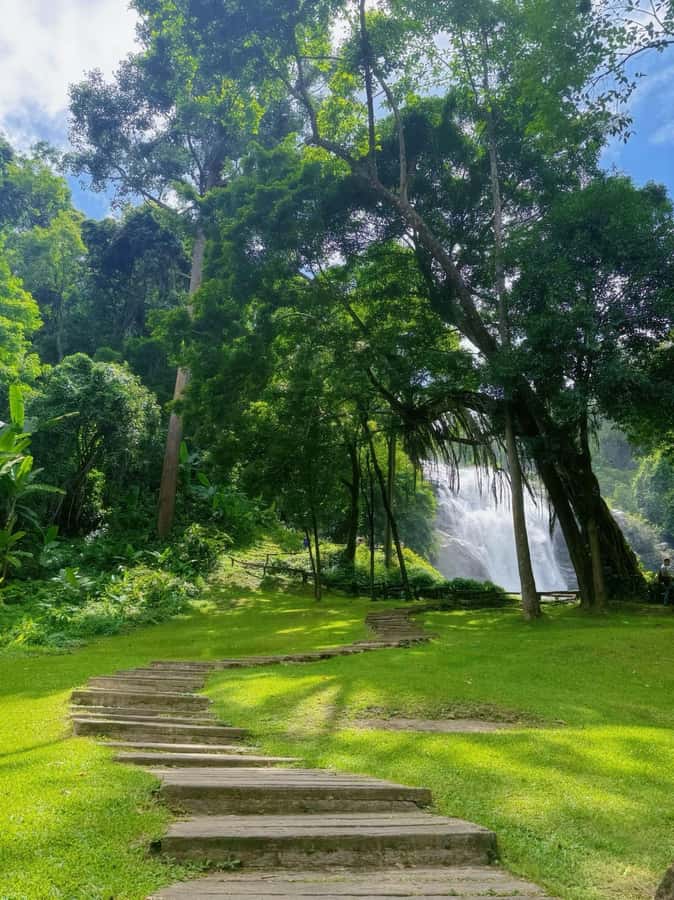 ChiangMai Doi Inthanon Waterfall Tour Free Lunch Free Ticket - Doi Inthanon at Height: Why the Park Feels Different