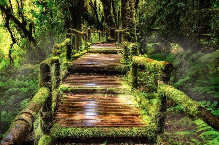 ChiangMai Doi Inthanon Waterfall Tour Free Lunch Free Ticket - Waterfalls: Mae Klang and Wachirathan’s Mist-Rainbow Magic