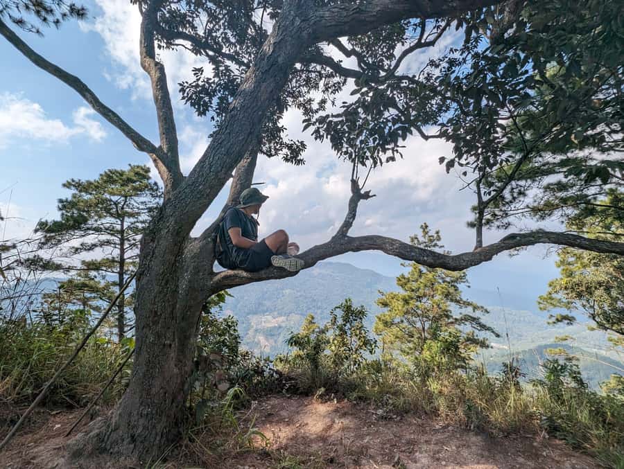 Chiangmai : Doi Pui Summit Hiking Experience - Key Highlights You’ll Actually Feel