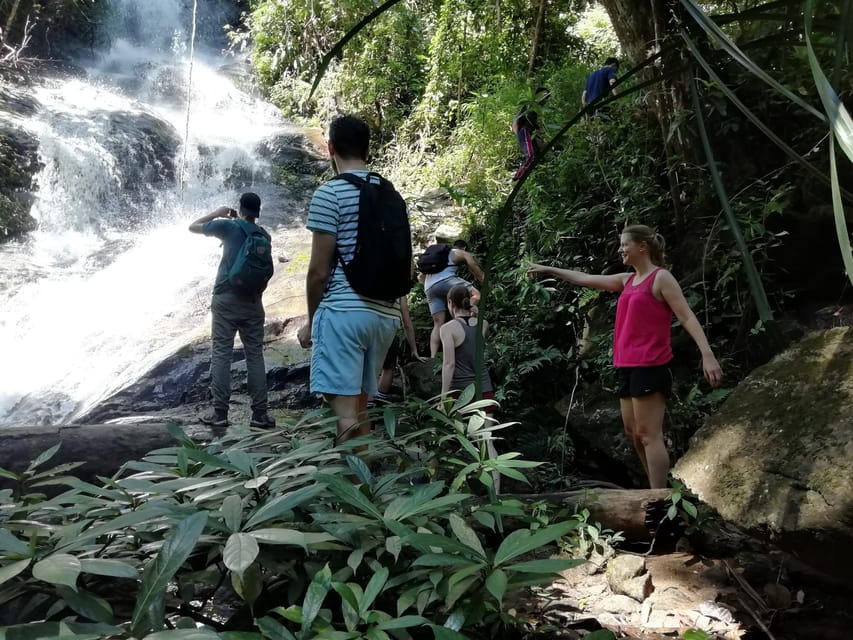 Chiangmai : Doi Pui Summit Hiking Experience - Price and value: what $70 buys you on this route
