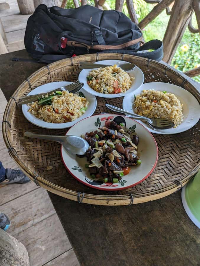 Chiangmai : Doi Pui Summit Hiking Experience - A 7-hour Chiang Mai climb that mixes temples and summit views