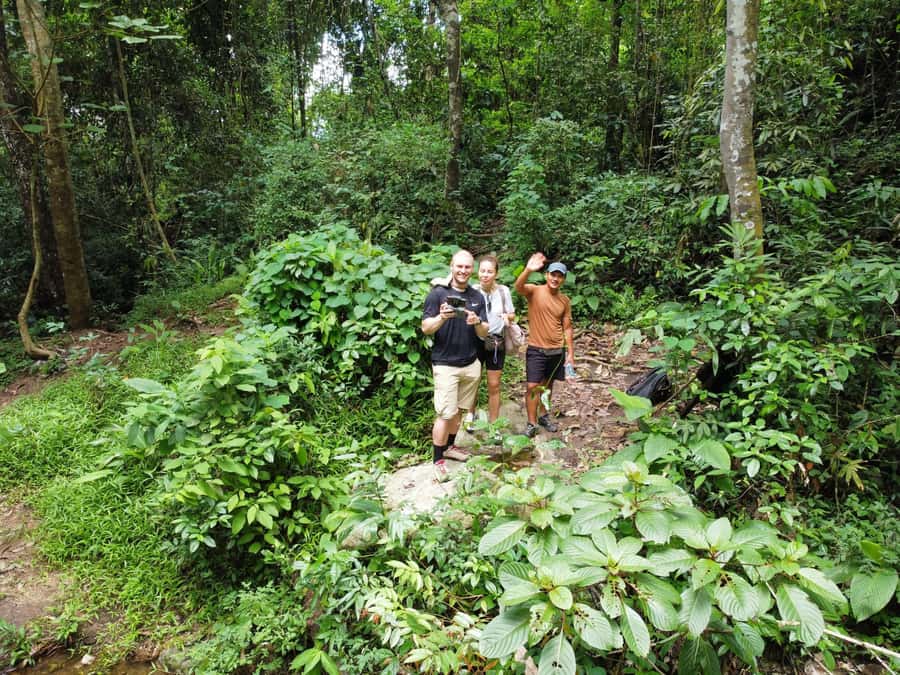 Chiangmai : Doi Pui Summit Hiking Experience - The Doi Pui summit climb: where the work becomes worth it