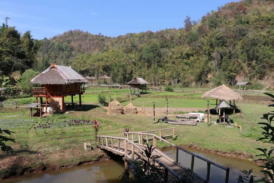 Chiangmai: Highlights Full-Day Tour with Private Driver - Chiang Mai Temples and Doi Inthanon: What You’re Really Buying