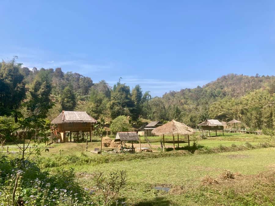 Chiangmai: Highlights Full-Day Tour with Private Driver - Wat Phra That Doi Suthep at 1,073 Meters