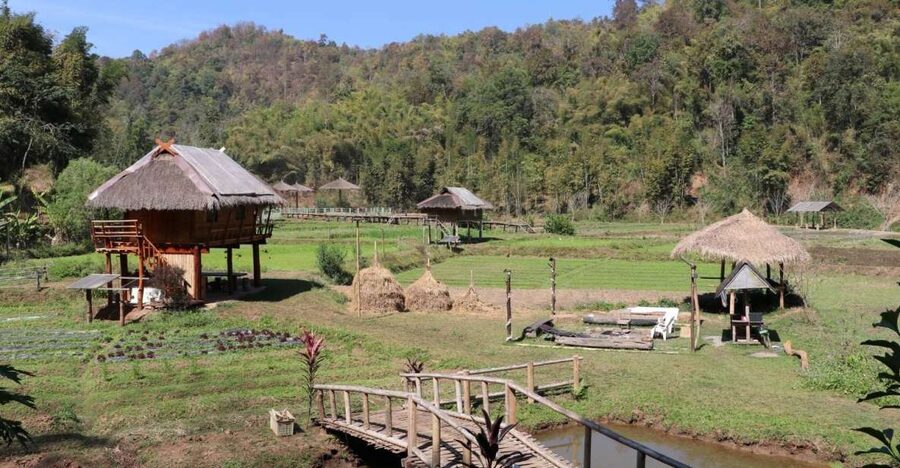 Chiangmai: Highlights Full-Day Tour with Private Driver - Wat Chiang Man: King Mengrai’s 13th-Century Corner