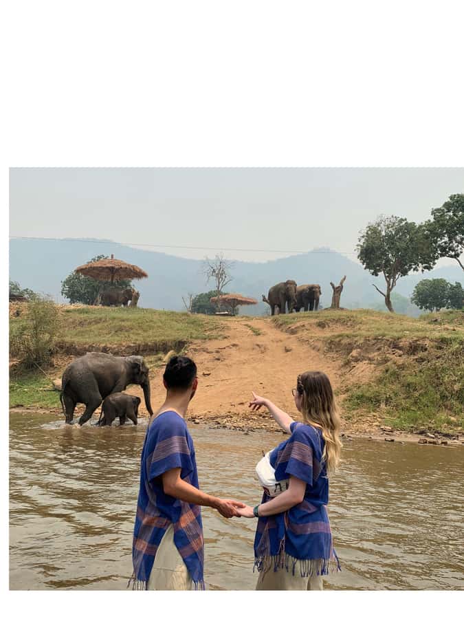 Chiangmai : Take care elephants+poopaper, sticky waterfalls - Lunch in the middle of a full day