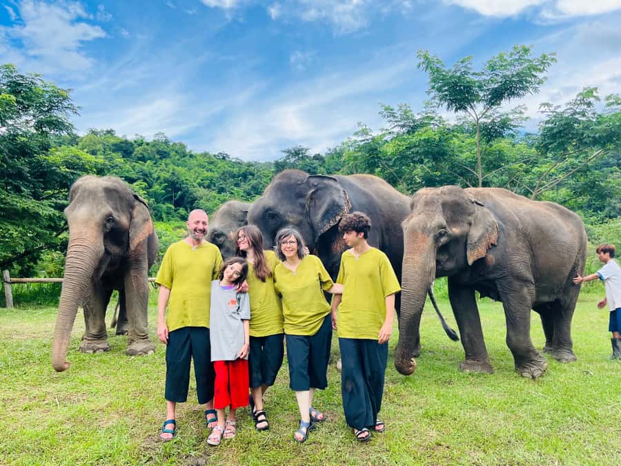 Chiangmai : Take care elephants+poopaper, sticky waterfalls - Should you book this tour or choose something else?