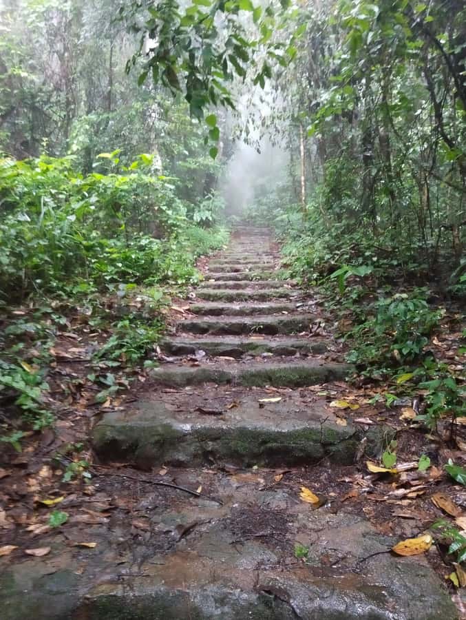 Chingmai Sunrise Hike & Cultural Traditions - Who should book this sunrise hike, and who should skip it