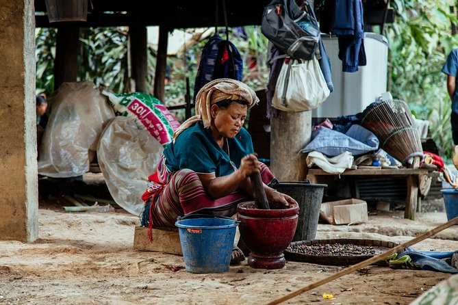 City Escape: Doi Inthanon & Karen Village Private Day Trip - Ethical Elephant Karen Tribe trek: meeting people, not just scenery