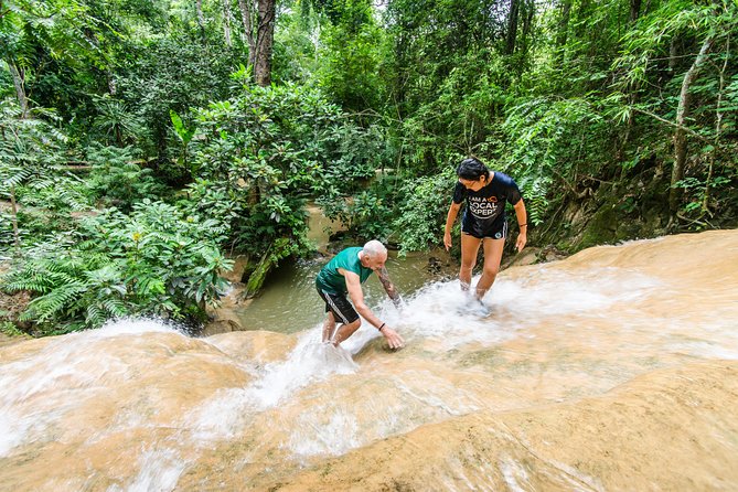 Climb Sticky Waterfall Like a Spiderman - Sticky Limestone Waterfall Near Chiang Mai: What Makes Bua Thong Different