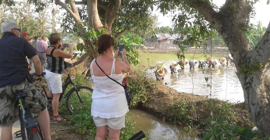 Colors of Chiang Mai Guided Bicycle Tour - Key highlights at a glance
