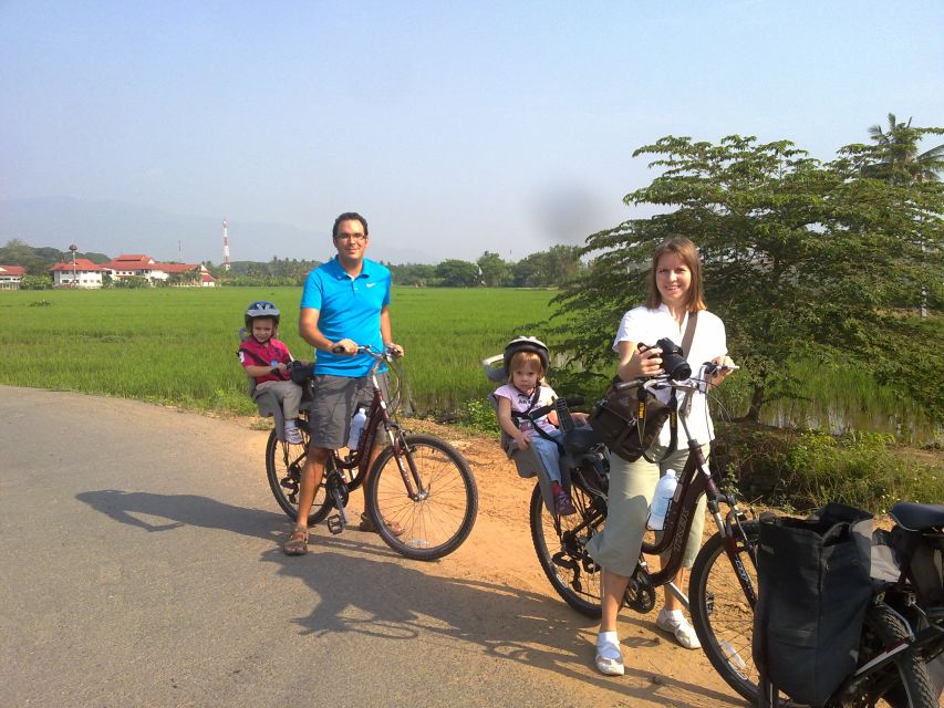 Colors of Chiang Mai Guided Bicycle Tour - Rice fields and fruit orchards: pretty scenery, seasonal reality