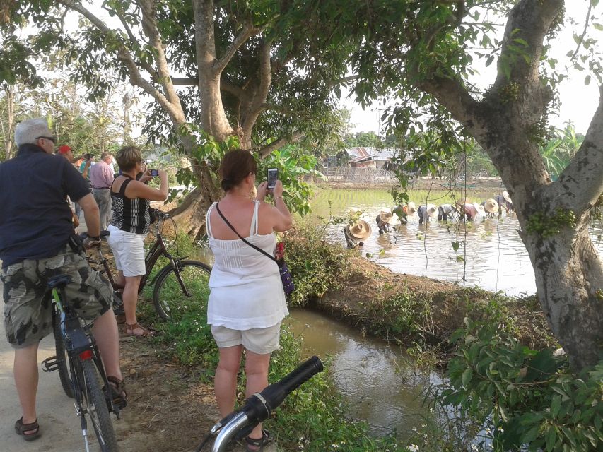 Colors of Chiang Mai Guided Bicycle Tour - What the route is really like: pace, traffic, and bike comfort