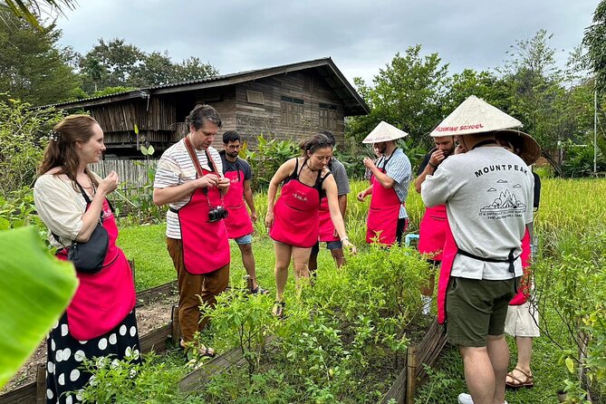 Cooking Class with Organic Farm in Chiang Mai - Key points to know before you go