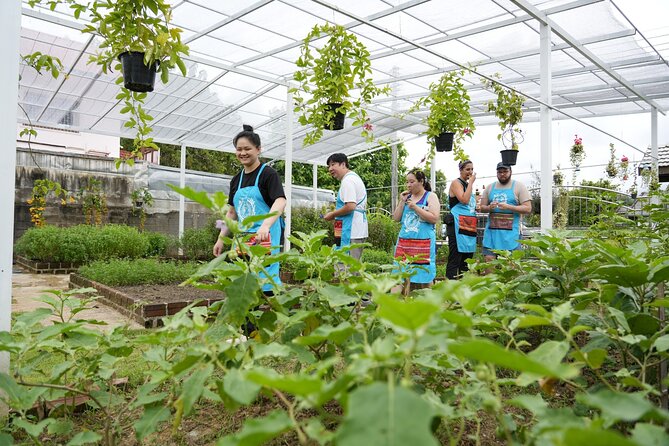 Cooking Class with Organic Farm in Chiang Mai at Mama Noi - Market walk: learning ingredients without getting lost