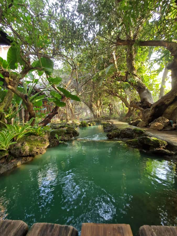 Day Tour in Chiang Mai I Waterfall I Dantewada I Doi Suthep - Dantewada temples and lunch: local calm in the middle of the day
