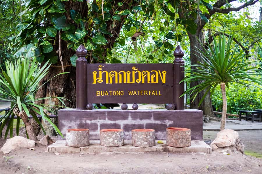 Day Tour in Chiang Mai I Waterfall I Dantewada I Doi Suthep - Wat Phra That Doi Suthep: the panoramic payoff at the right time