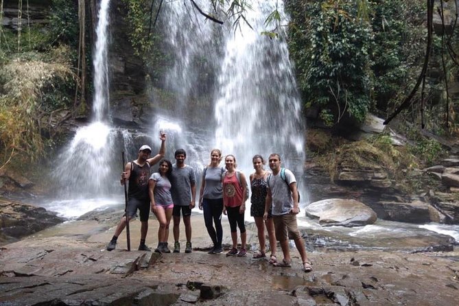 Doi Inthanon Day Trip:Twin Pagodas,Soft Hiking,Coffee Plantation - Kew Mae Pan Soft Hiking Trail: Great Views, Real Effort