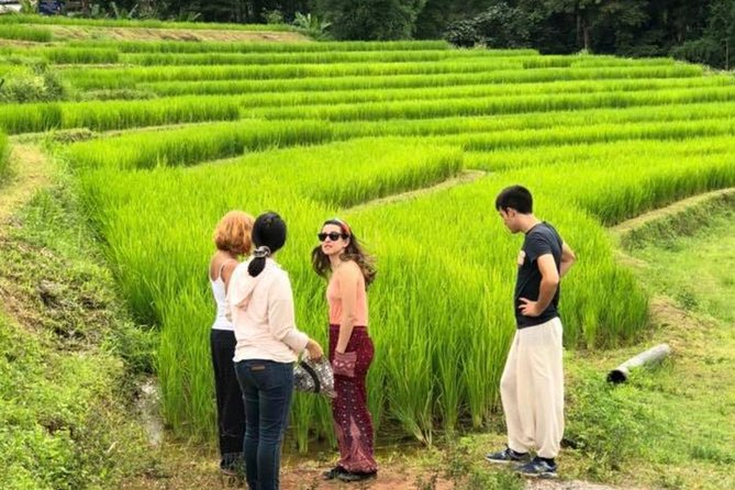Doi Inthanon Day Trip:Twin Pagodas,Soft Hiking,Coffee Plantation - Hilltribe Villages Market Stop: Crafts, Culture, and Souvenir Reality Checks