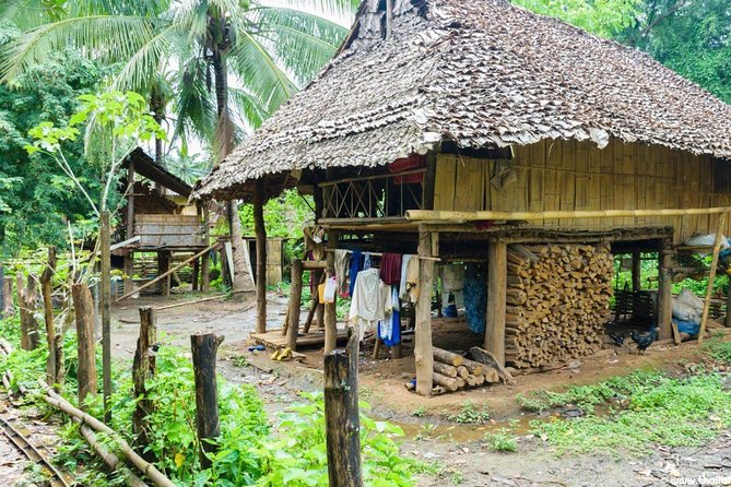 Doi Inthanon Discovery Tour: Waterfalls, Villages & Highest Peak - Wachirathan Falls: the waterfall highlight with limited time
