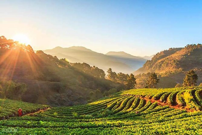Doi Inthanon Discovery Tour: Waterfalls, Villages & Highest Peak - Price and value: does $87.70 make sense for this route?