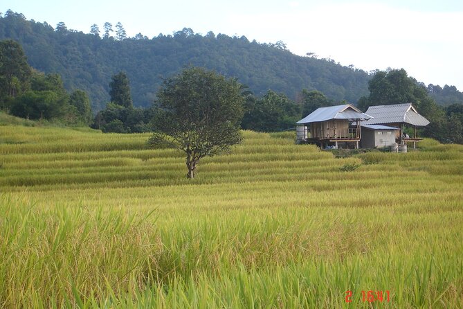 Doi Inthanon National park and 2 hours hiking with private tour - Doi Inthanon: the day that mixes altitude, waterfalls, and real villages