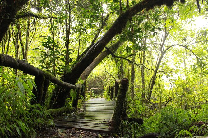 Doi Inthanon National park and 2 hours hiking with private tour - Price and what you’re really paying for at about $100.43 per person