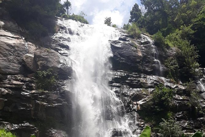 Doi Inthanon National Park Day Trip - Stop 2: Ban Mae Klang Luang Village Walk and Organic Coffee