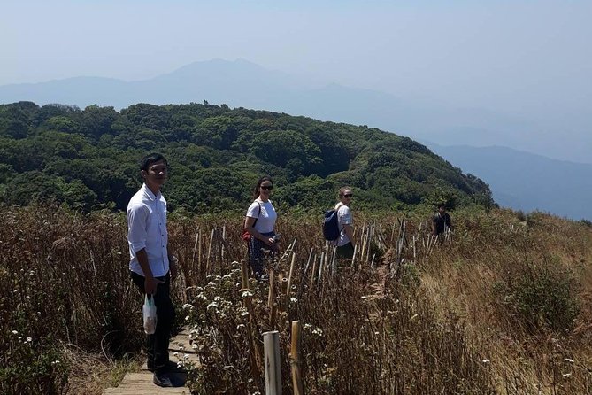 Doi Inthanon National Park Day Trip - Stop 3: Doi Inthanon National Park’s Highest Peak Area and the Twin Pagodas