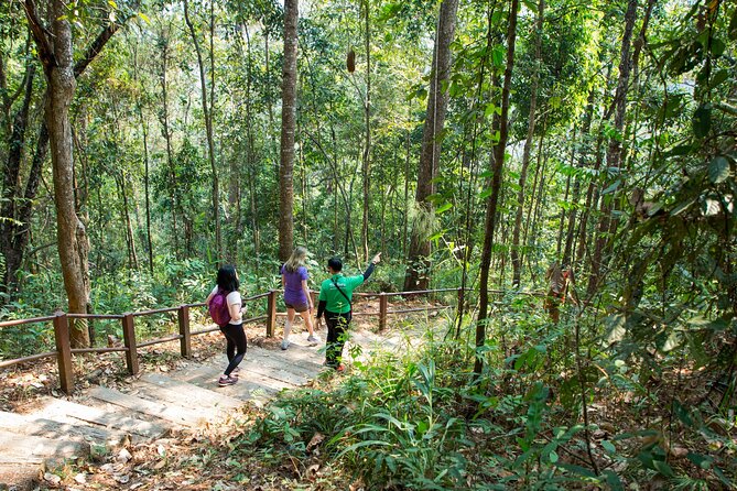 Doi Inthanon National Park Eco-Friendly Full Day Tour - Stop 3: Twin Royal Stupas and panoramic views