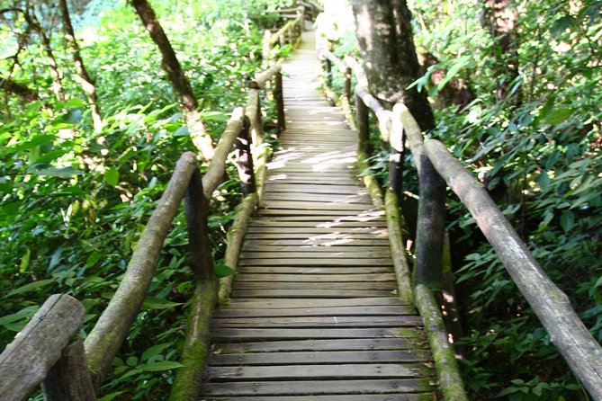 Doi Inthanon National Park including Lunch from Chiang Mai - From Chiang Mai to Doi Inthanon: what an 8-hour day really feels like