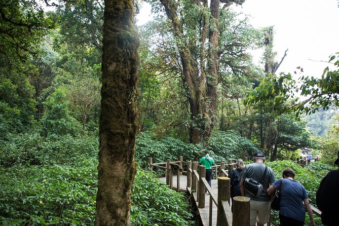 Doi Inthanon National Park Private Tour – Full Day - Pickup, timing, and what to pack for a wet-cool day