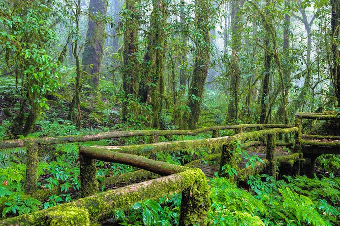Doi Inthanon National Park, Waterfall & Royal Project Day Tour From Chiang Mai - Wachirathan Falls: a big, misty centerpiece