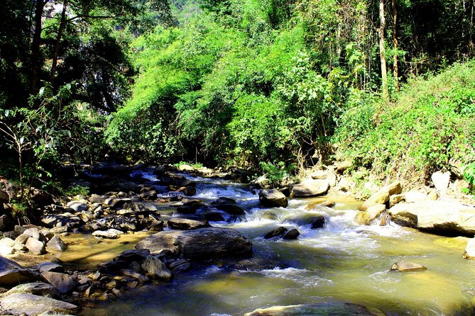 Doi Inthanon National Park, Waterfall & Royal Project Day Tour From Chiang Mai - Sirithan Waterfall: a calmer feel at Mae Klang River