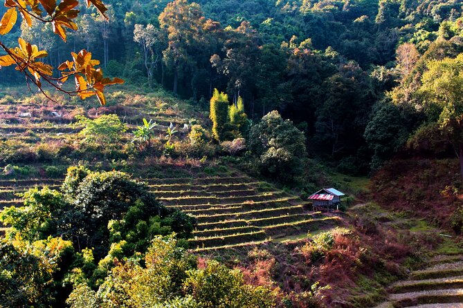 Doi Inthanon National Park, Waterfall & Royal Project Day Tour From Chiang Mai - Lunch, comfort, and the pace between stops