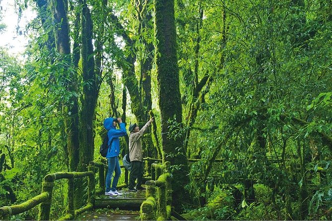 Doi Inthanon Waterfall and Royal Project Chiang Mai - Twin Royal Stupas: the view payoff at the top