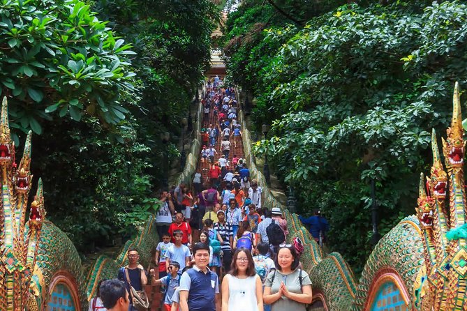 Doi Suthep and Hmong Hilltribe Half Day Tour in Chiang Mai - The drive to Doi Suthep-Pui National Park: easy start, real mountain feel