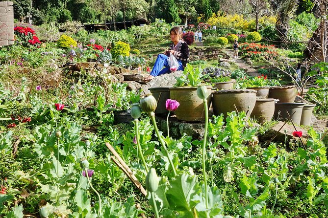 Doi Suthep and Hmong Hilltribe Half Day Tour in Chiang Mai - Hill-tribe village stops: small group pace, but watch the clock