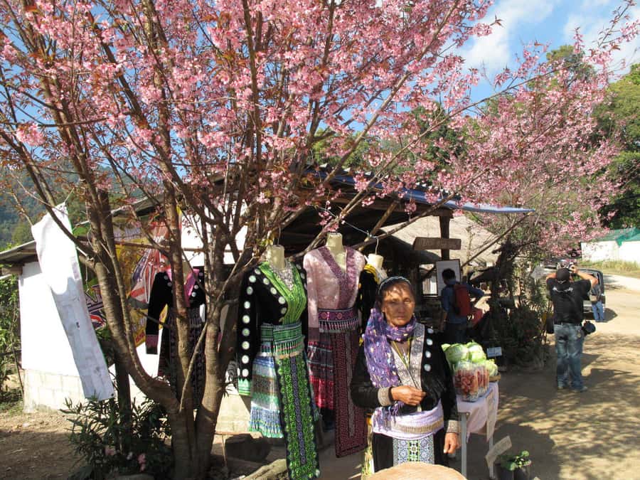 Doi Suthep Hill Tribe Village and Evening Buddhist Service - Khun Chang Kien Hmong village: Learn the mountain way of life