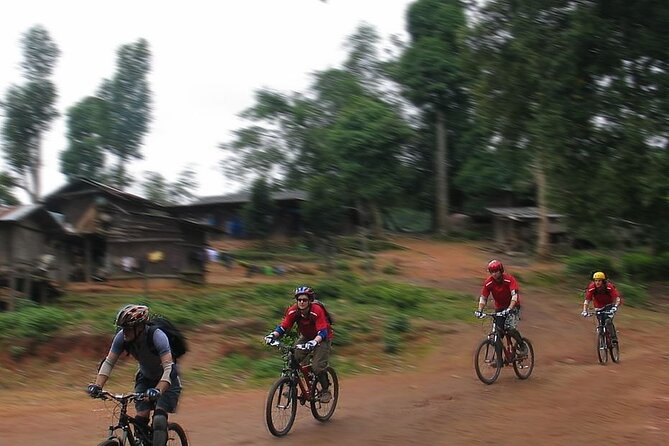 Doi Suthep National Park To Chiang Mai Beginner Downhill Mountain Biking - What the Day Feels Like in Real Life