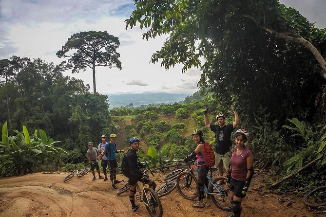 Doi Suthep National Park To Chiang Mai Beginner Downhill Mountain Biking - Price and Value: Is This $79.30 a Smart Buy?
