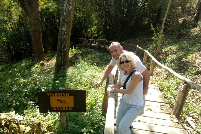 Doi Suthep Temple and Bau Thong Waterfalls Private Tour - Stop 2: Wat Phra That Doi Suthep and the stair-or-lift choice